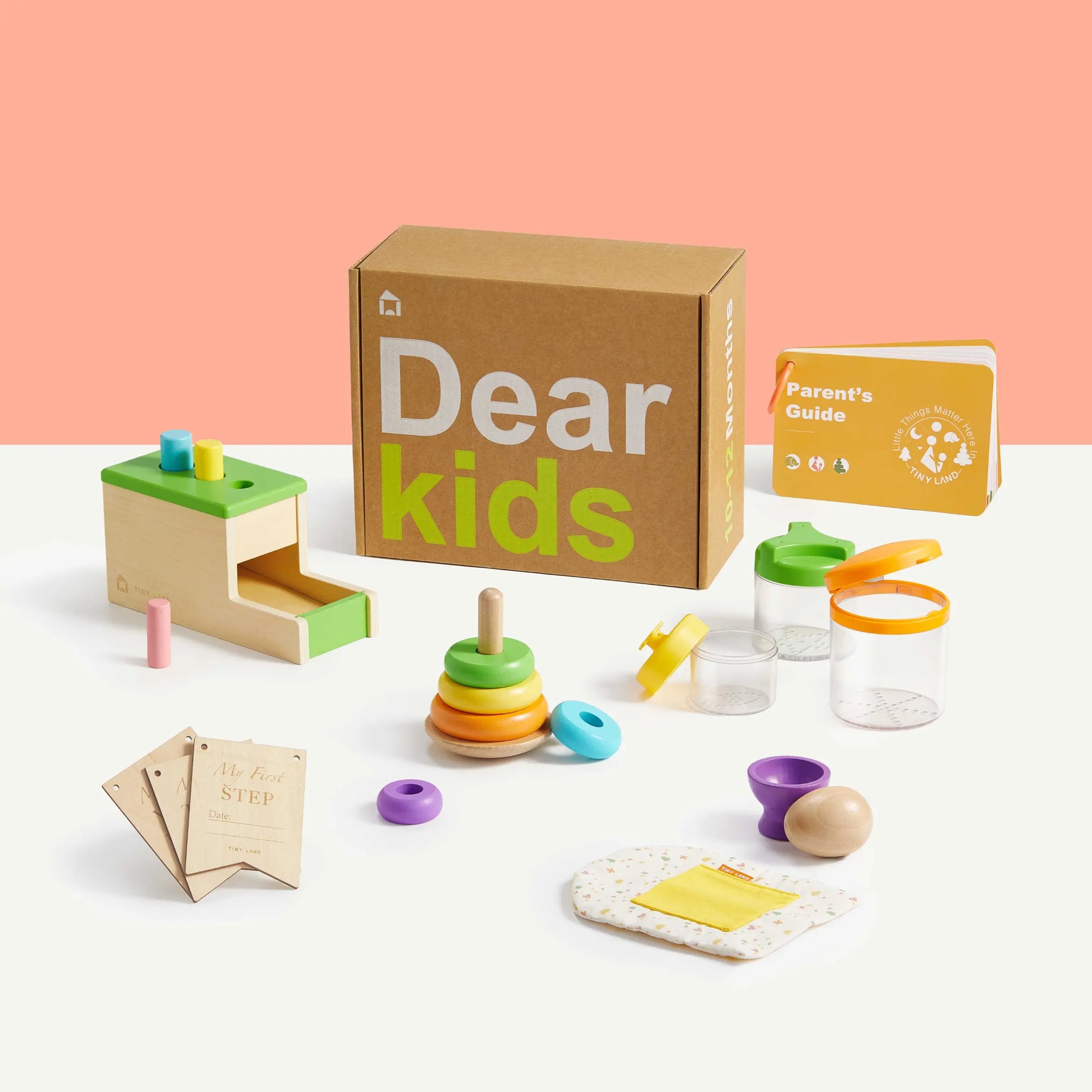 Tiny Land® Montessori Toys Set for Infants (10-12 month) Cover