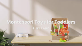 Tiny Land® Montessori Toys for Toddlers (19-24month)