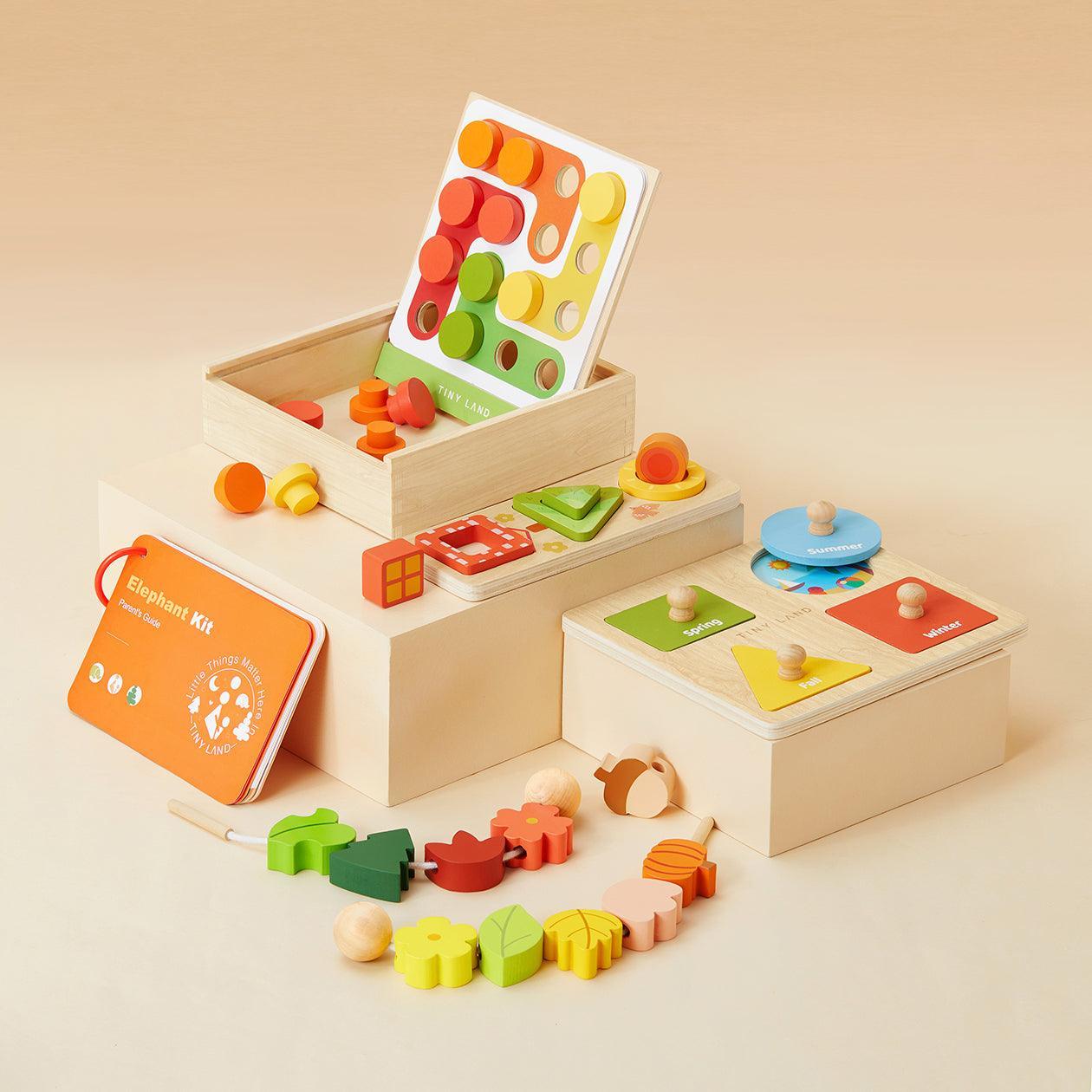 Montessori Toys for 1 2 Year Old 4 Set Wooden Toys for Babies 6-12